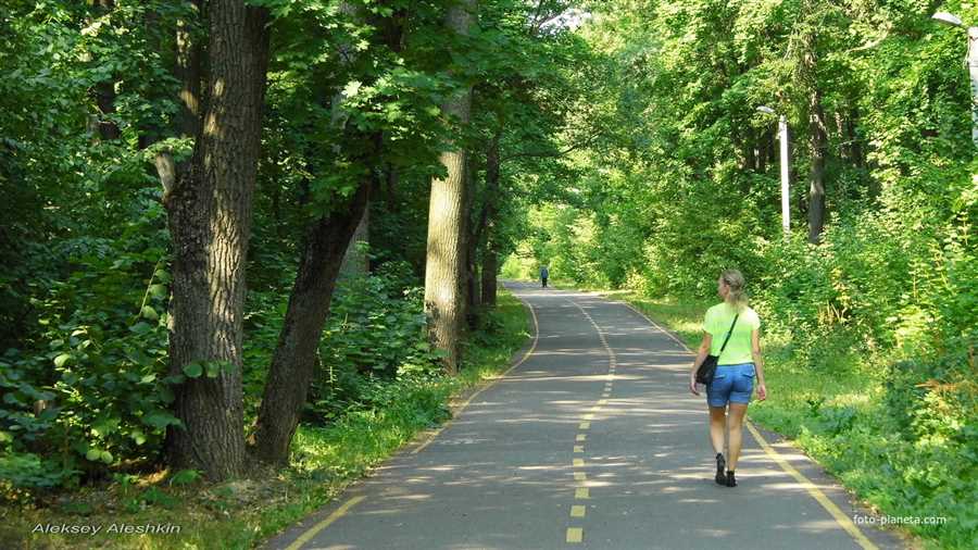 Музыкальное путешествие по городу-саду