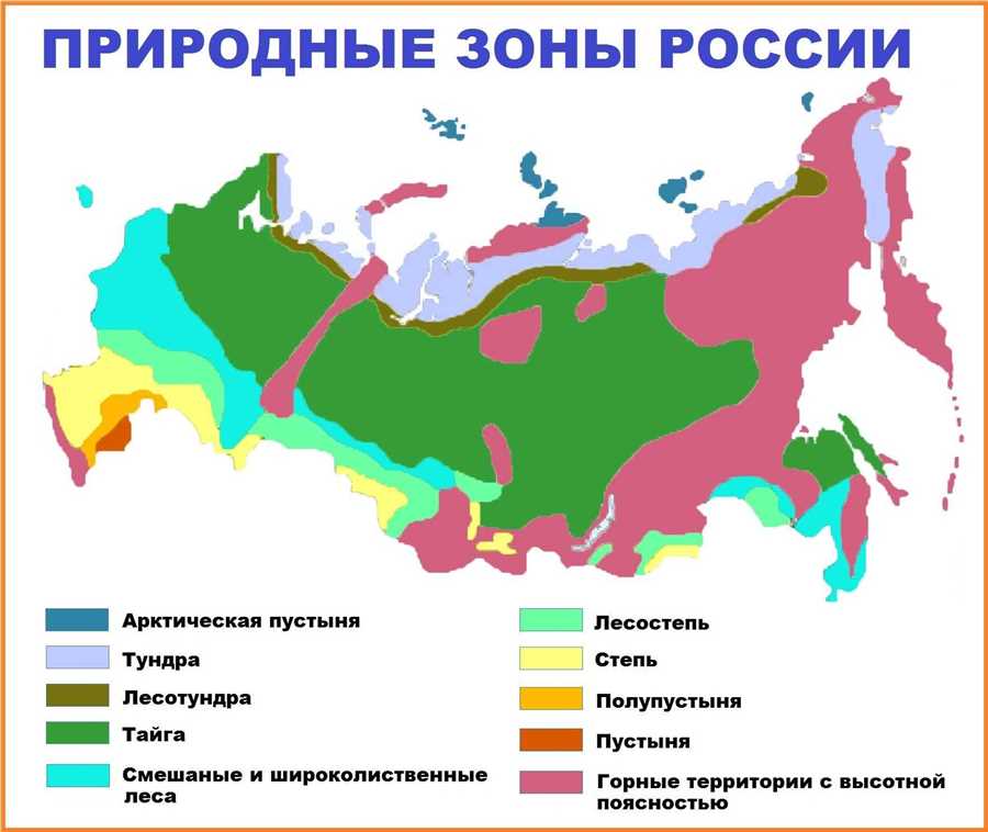 Описание уникального биоразнообразия сибирской таиги