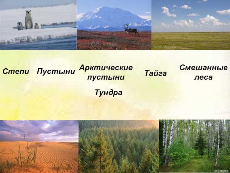 Инструменты, используемые в народной музыке Сибири